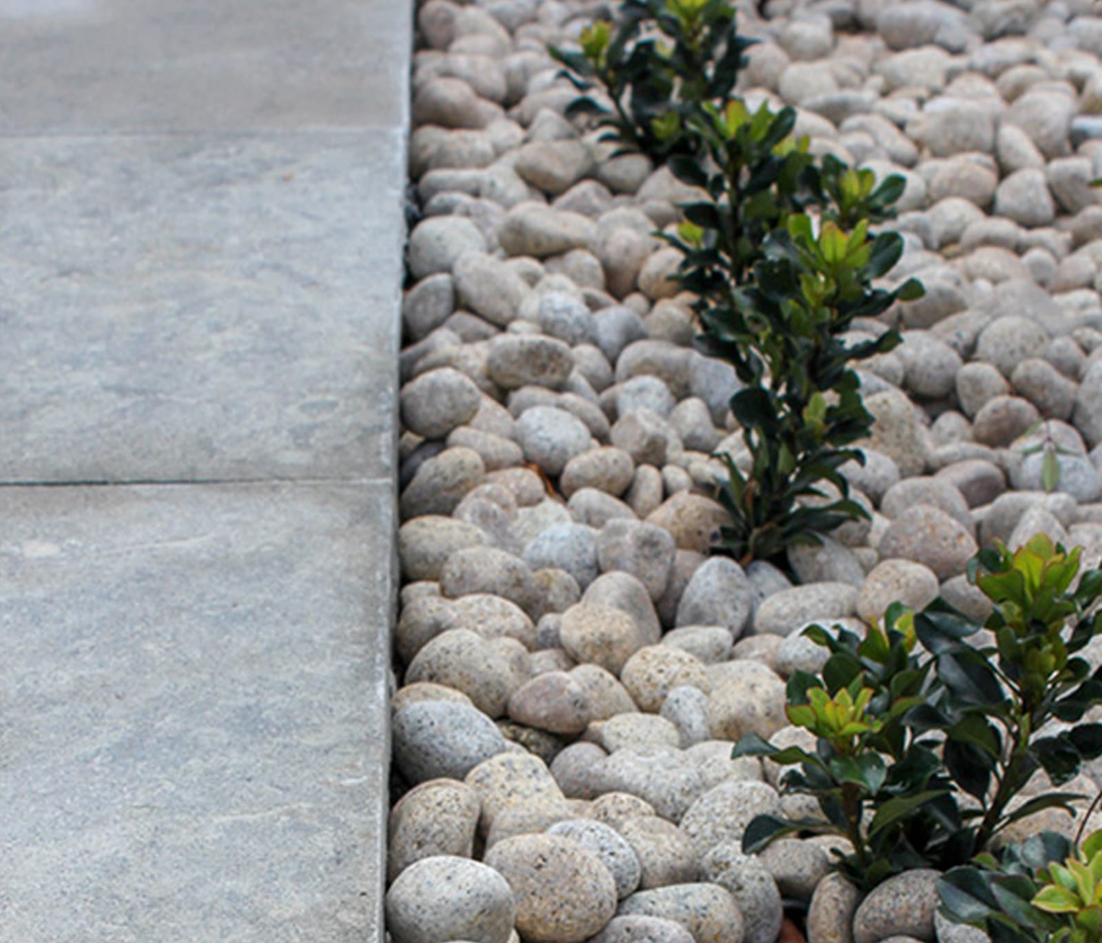 PEBBLES