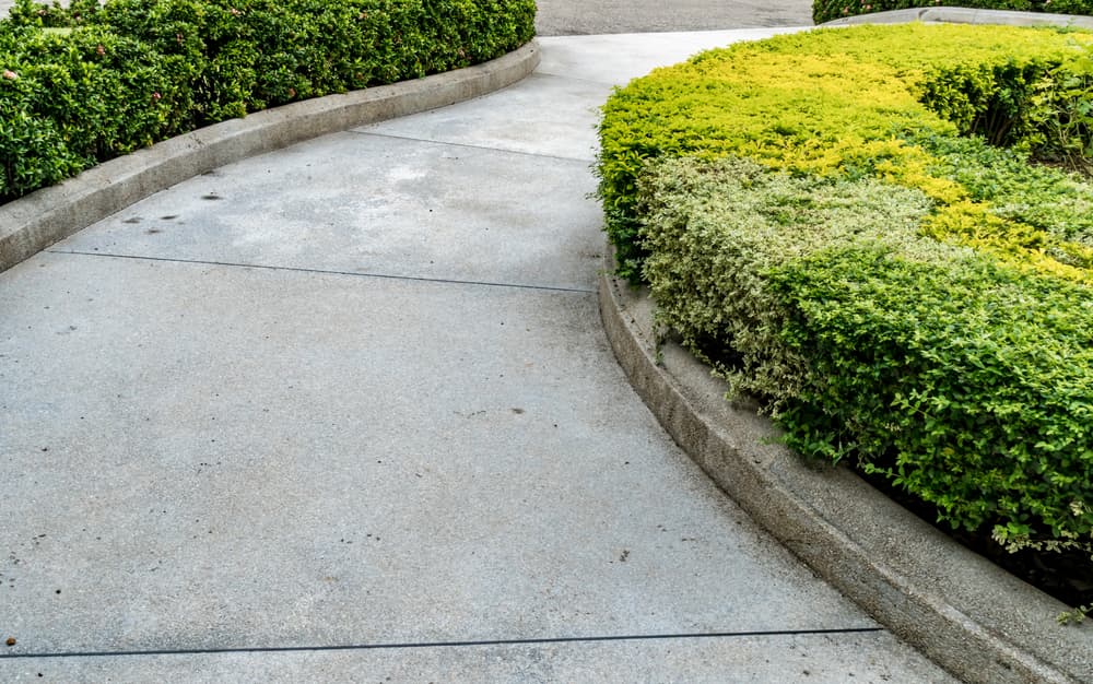 Curve concrete pathway with green trimmed bush hedge in the park