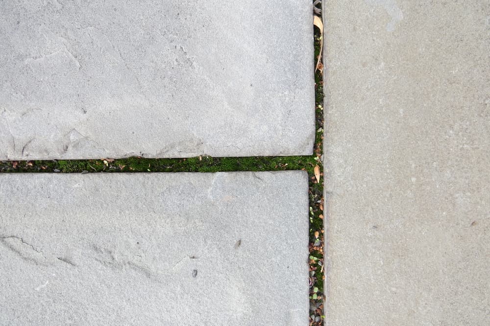 Bluestone three way joint in garden patio. Close up, detail, texture